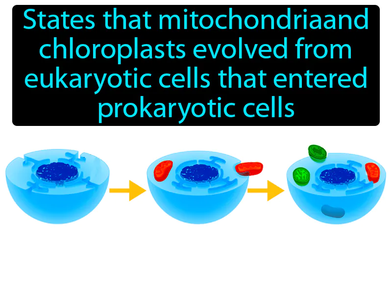 Endosymbiotic Theory Definition Endosymbiotic Theory Definition