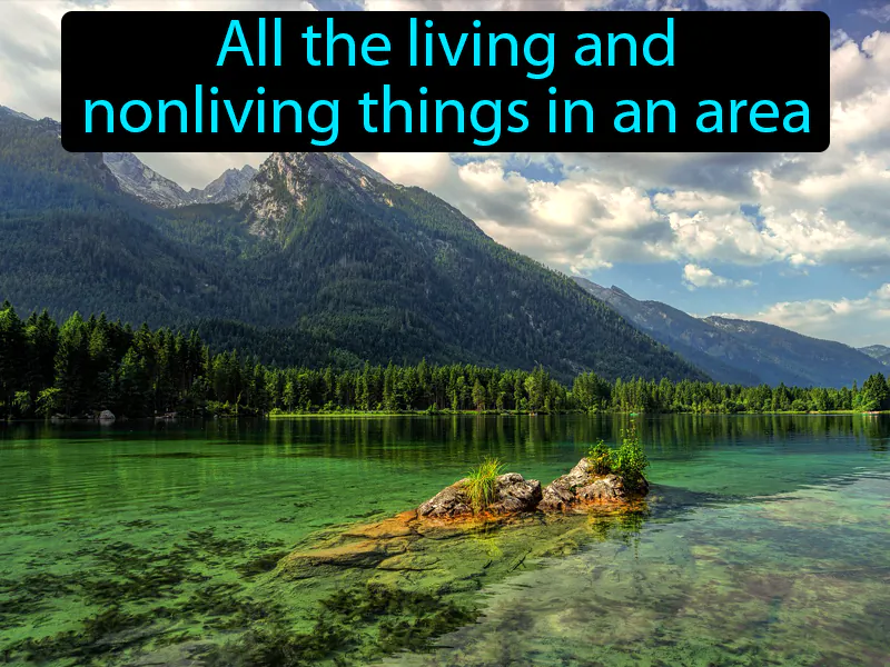 Environment Definition Environment Definition