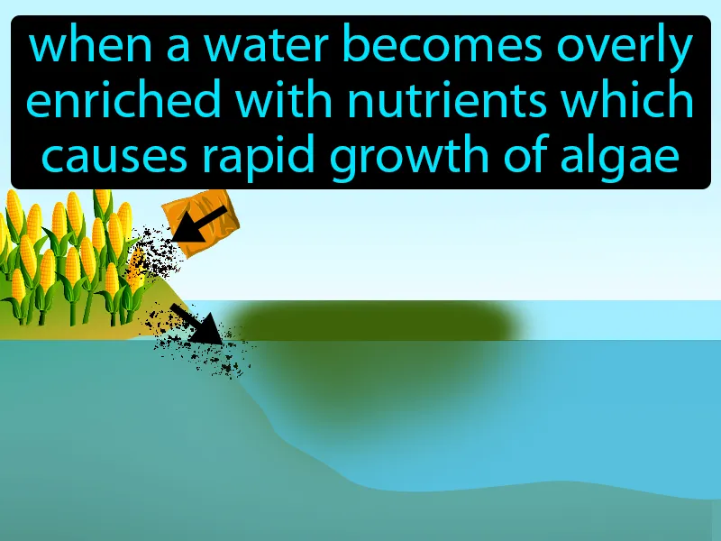 Eutrophication Definition Eutrophication Definition