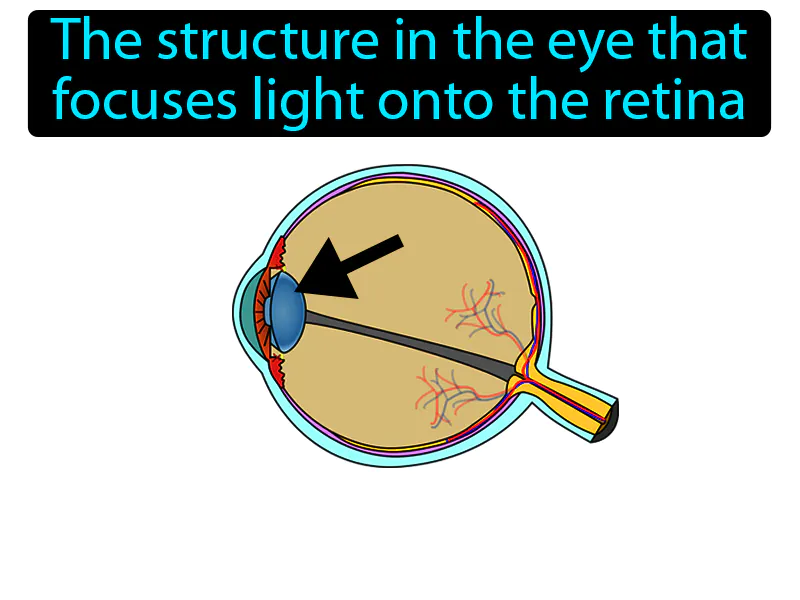 Eye Lens Definition Eye Lens Definition