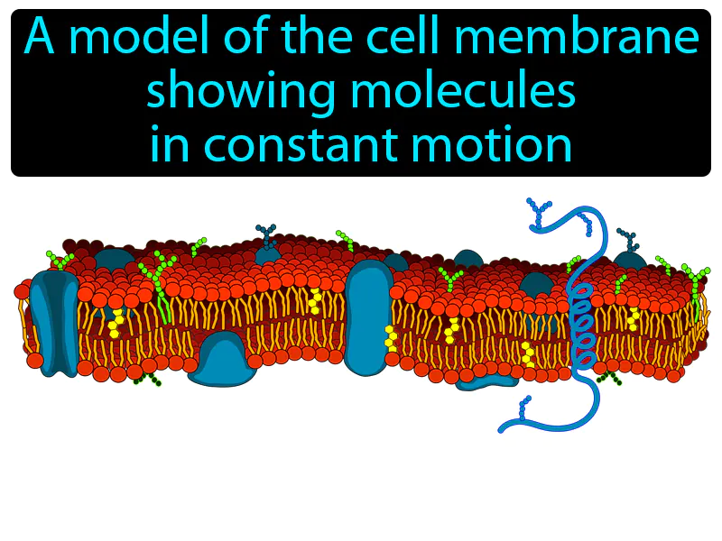 Fluid Mosaic Model Definition Fluid Mosaic Model Definition