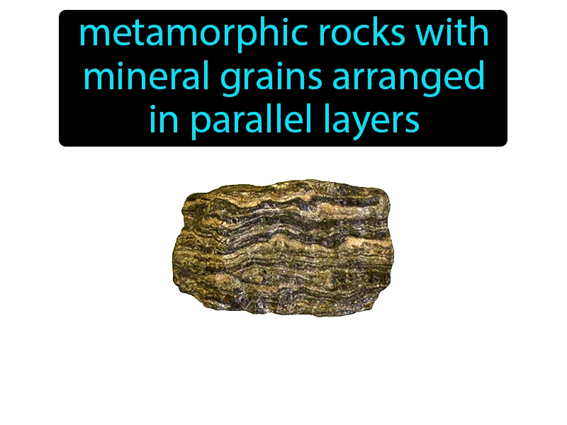 Foliated Definition Foliated Definition