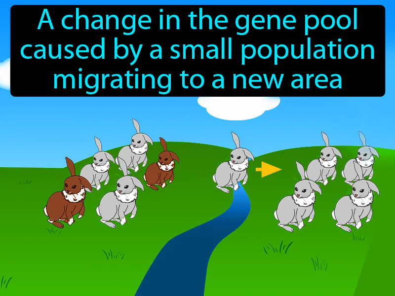 Founder Effect Definition Founder Effect Definition