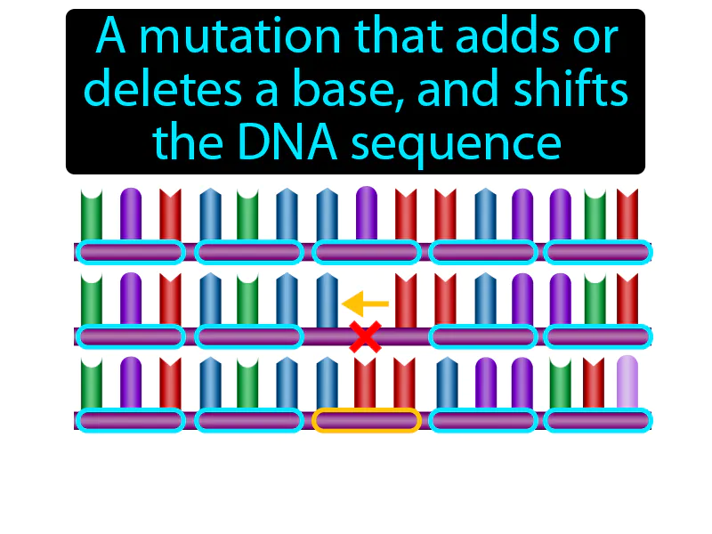 Frameshift Mutation Definition