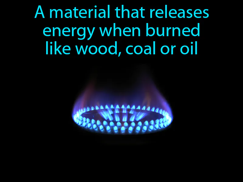 Fuel Definition Fuel Definition