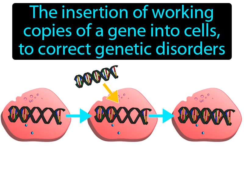 Gene Therapy Definition Gene Therapy Definition