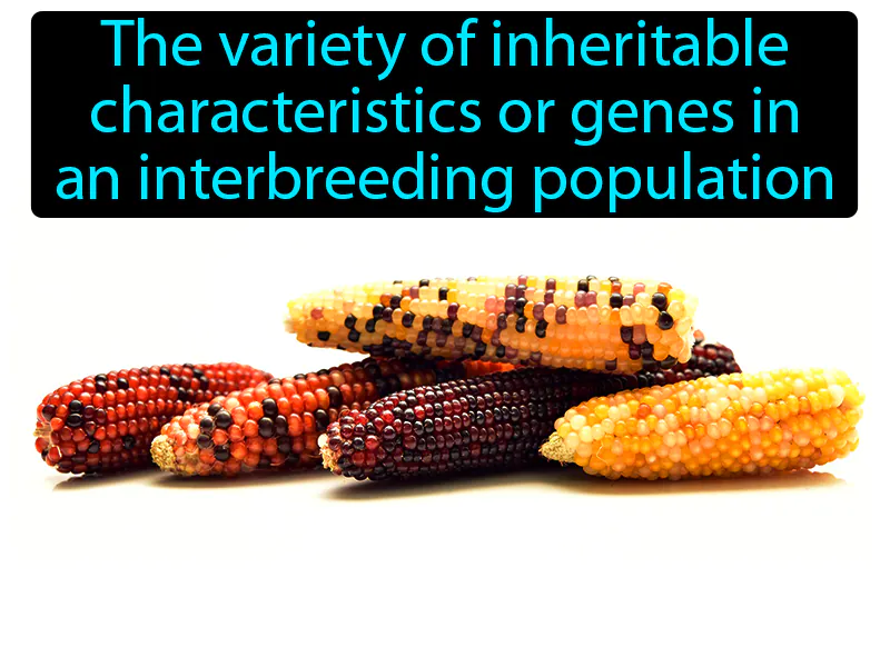 Genetic Diversity Definition Genetic Diversity Definition