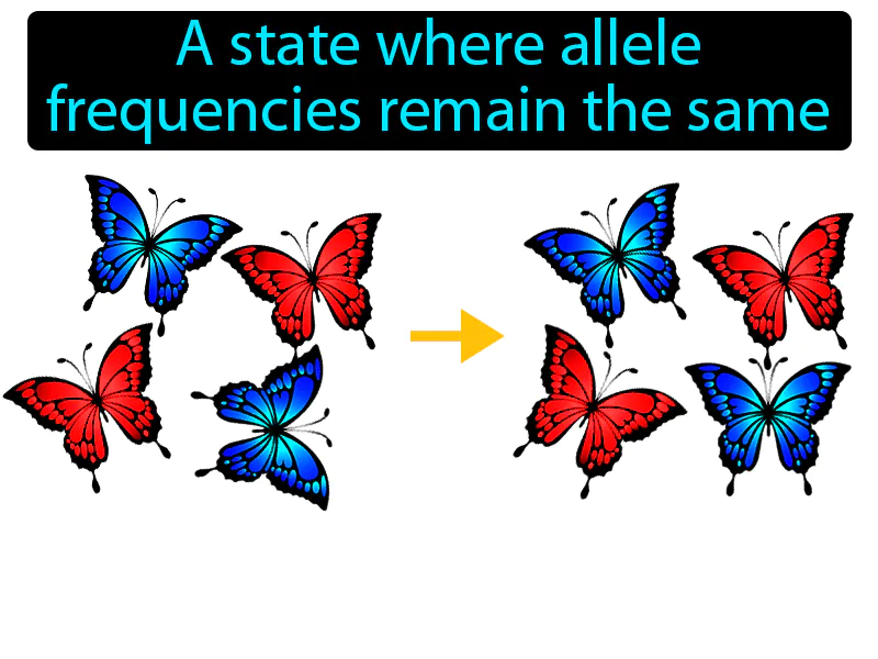 Genetic Equilibrium Definition Genetic Equilibrium Definition