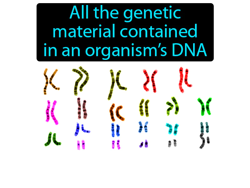 Genome Definition Genome Definition
