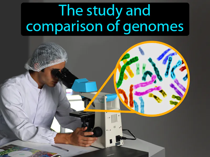 Genomics Definition Genomics Definition