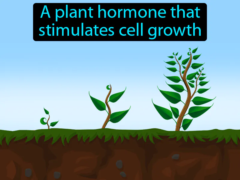 Gibberellin Definition