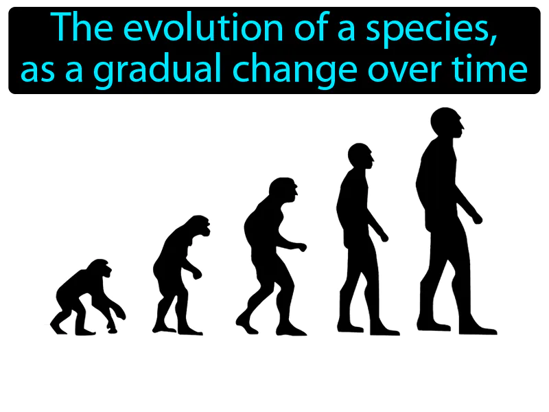 Gradualism Definition Gradualism Definition