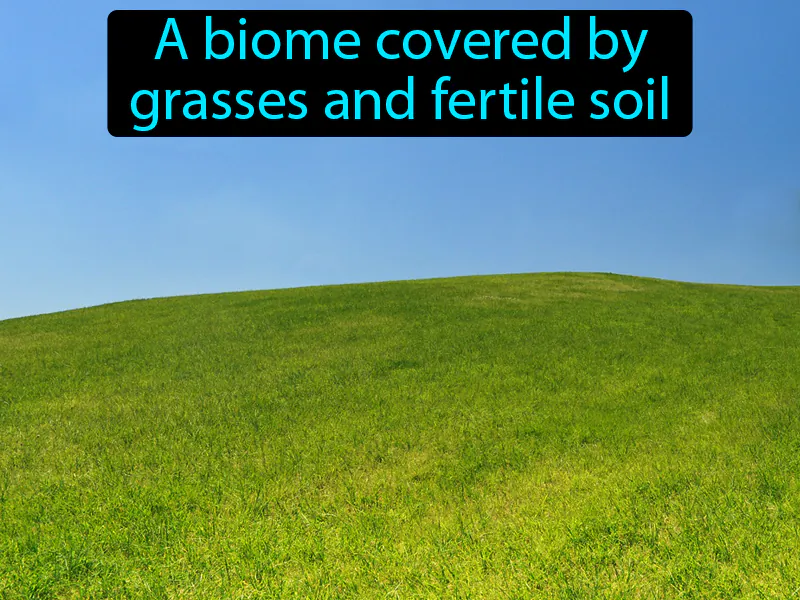 Grassland Definition Grassland Definition