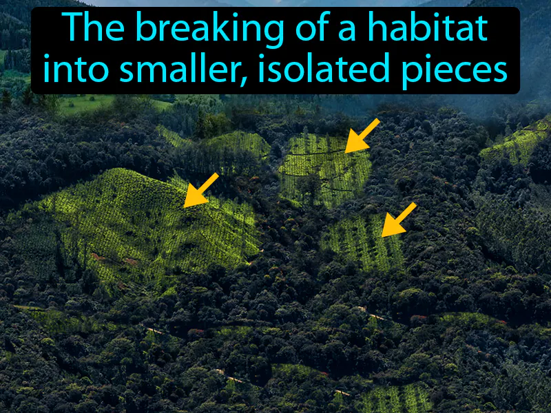 Habitat Fragmentation Definition Habitat Fragmentation Definition