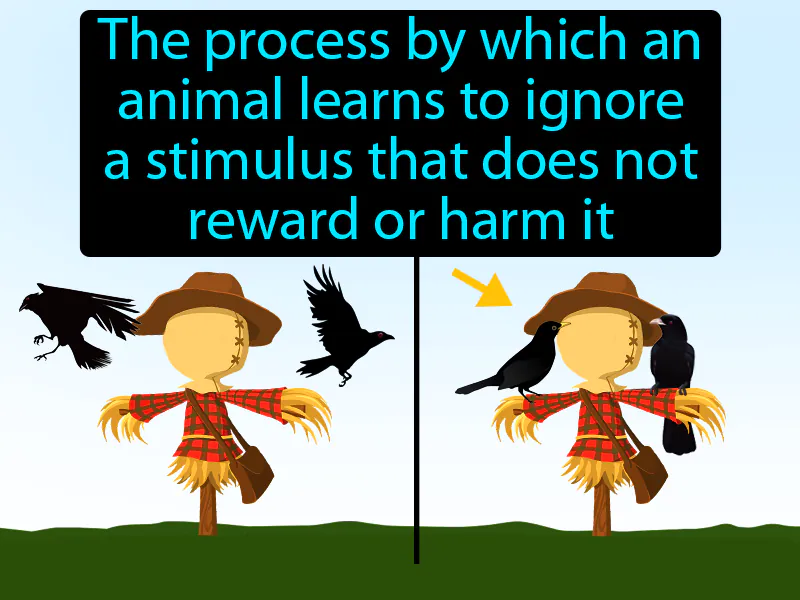 Habituation Definition Habituation Definition