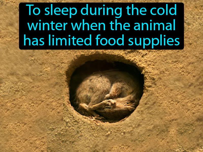 Hibernate Definition Hibernate Definition