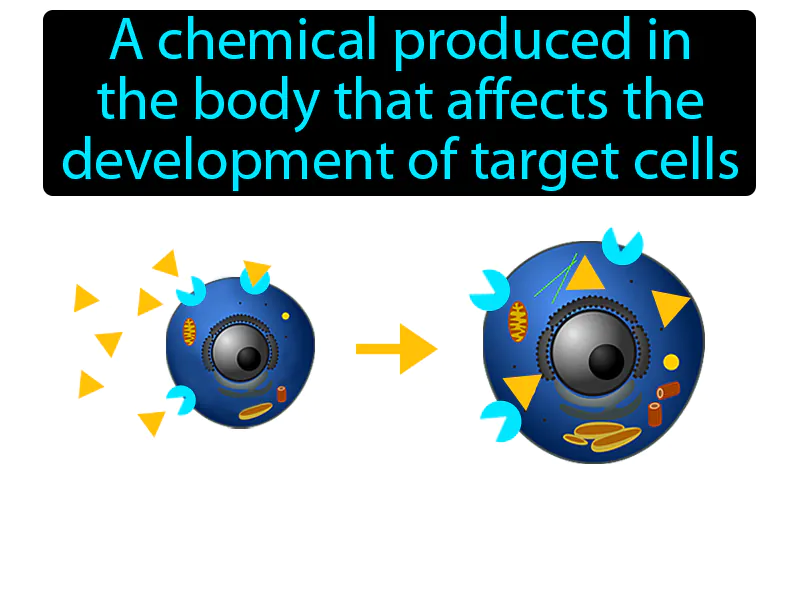 Hormone Definition Hormone Definition