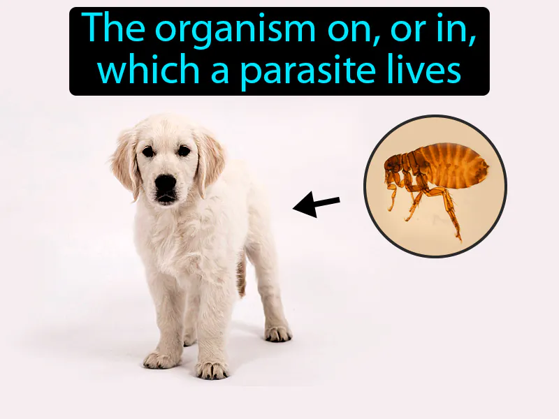 Host Definition Host Definition