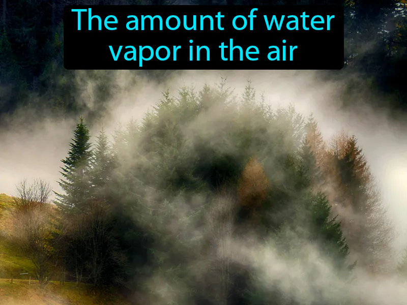 Humidity Definition Humidity Definition