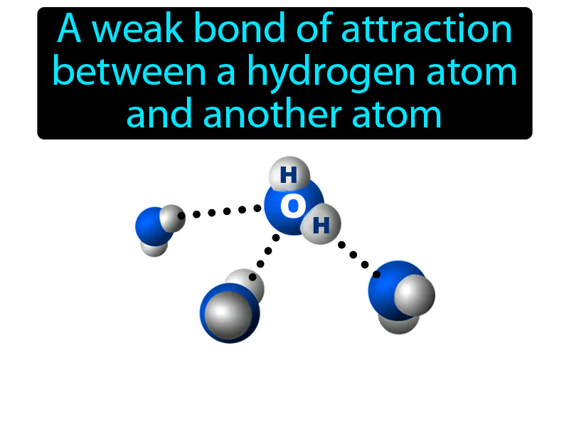 Hydrogen Bond Definition Hydrogen Bond Definition