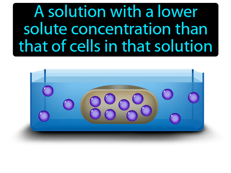 Hypotonic Solution Definition Hypotonic Solution Definition