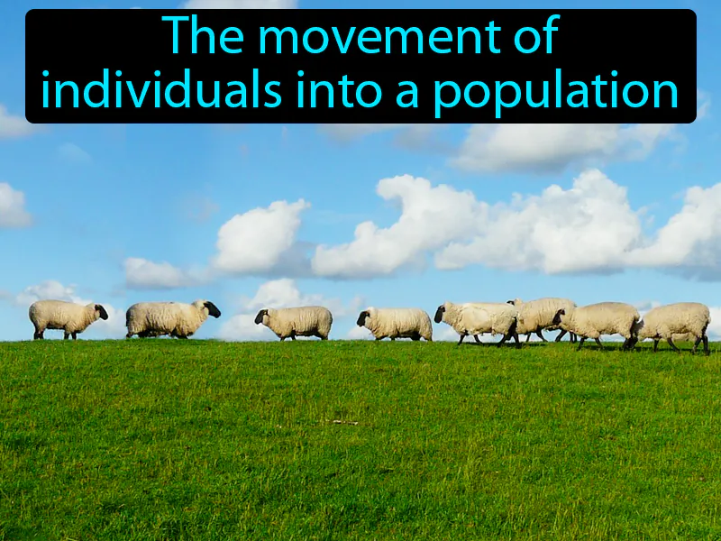 Immigration Definition