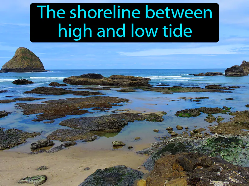 Intertidal Zone Definition Intertidal Zone Definition