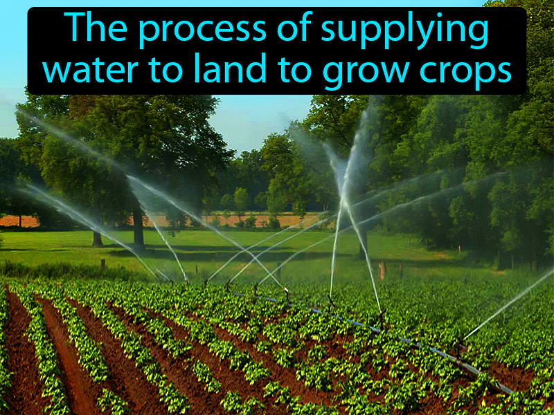 Irrigation Definition Irrigation Definition