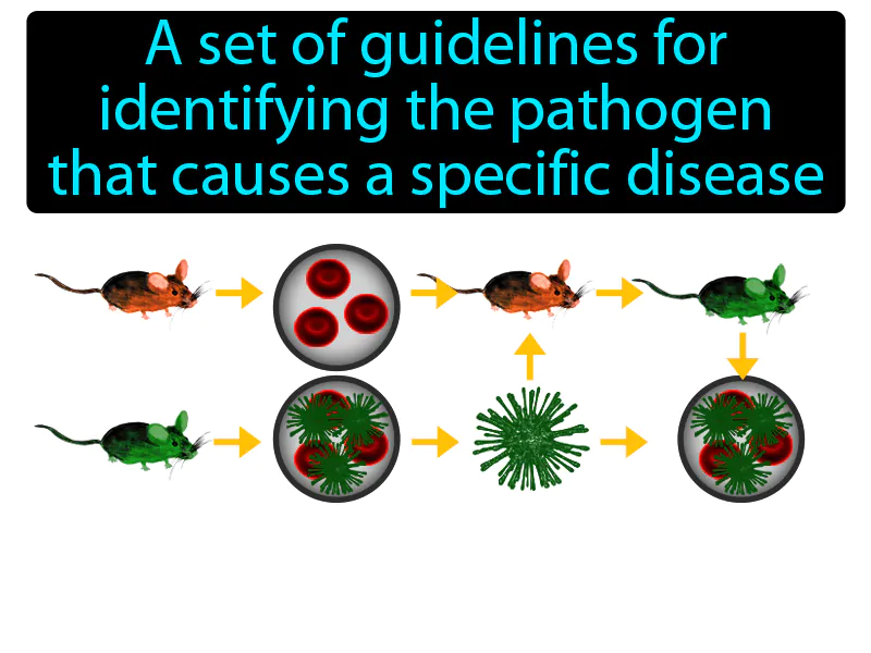 Kochs Postulate Definition Kochs Postulate Definition