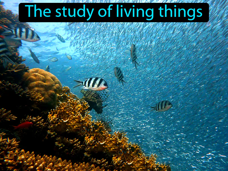 Life Science Definition Life Science Definition