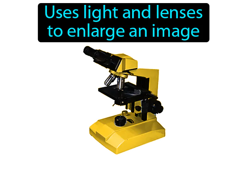 Light Microscope Definition Light Microscope Definition