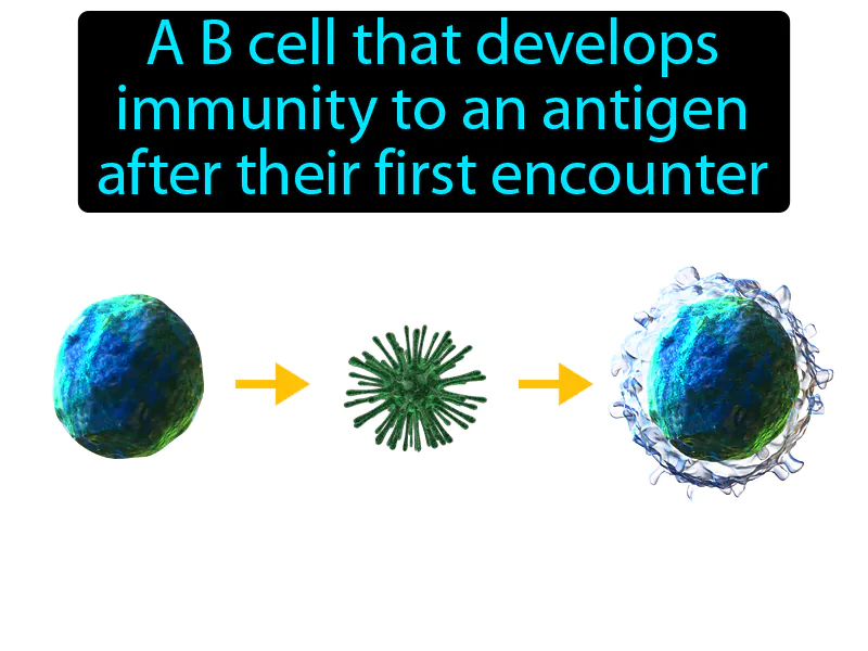 Memory Cell Definition Memory Cell Definition