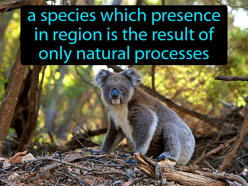 Native Species Definition Native Species Definition