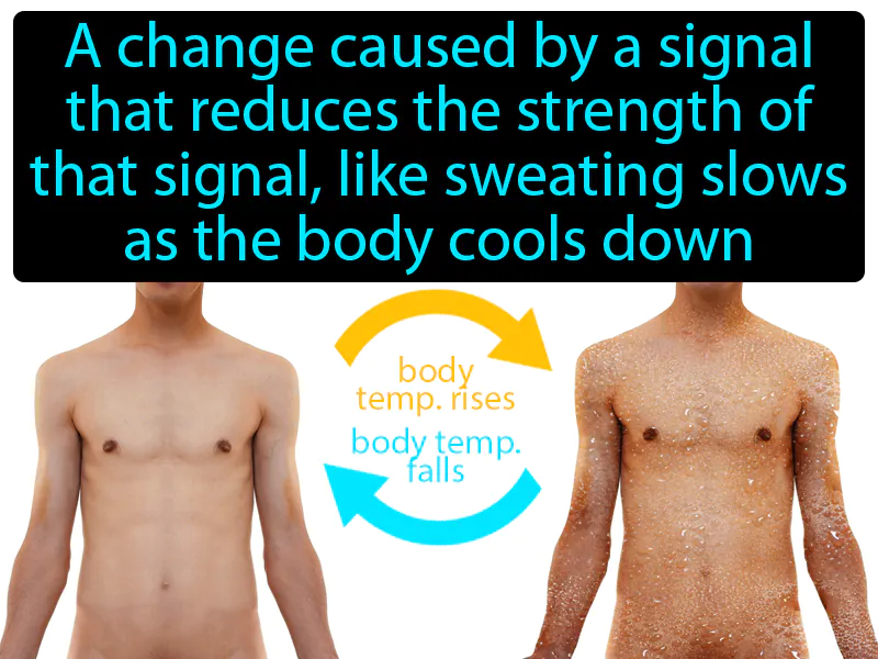 Negative Feedback Definition Negative Feedback Definition