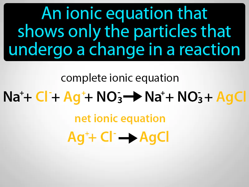 Net Ionic Equation Definition Net Ionic Equation Definition