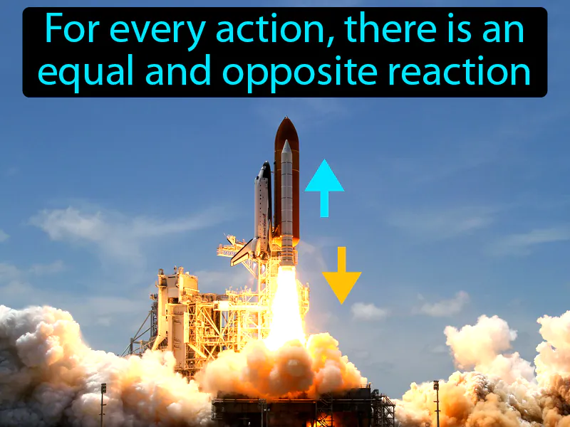 Newtons Third Law Of Motion Definition Newtons Third Law Of Motion Definition