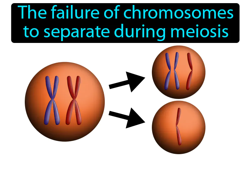 Nondisjunction Definition Nondisjunction Definition