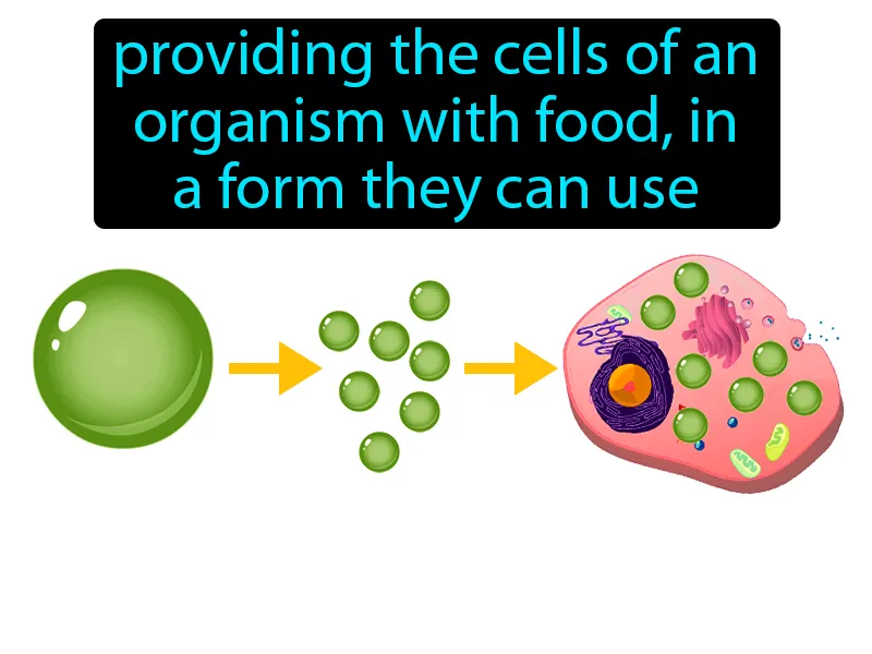 Nutrition Definition Nutrition Definition