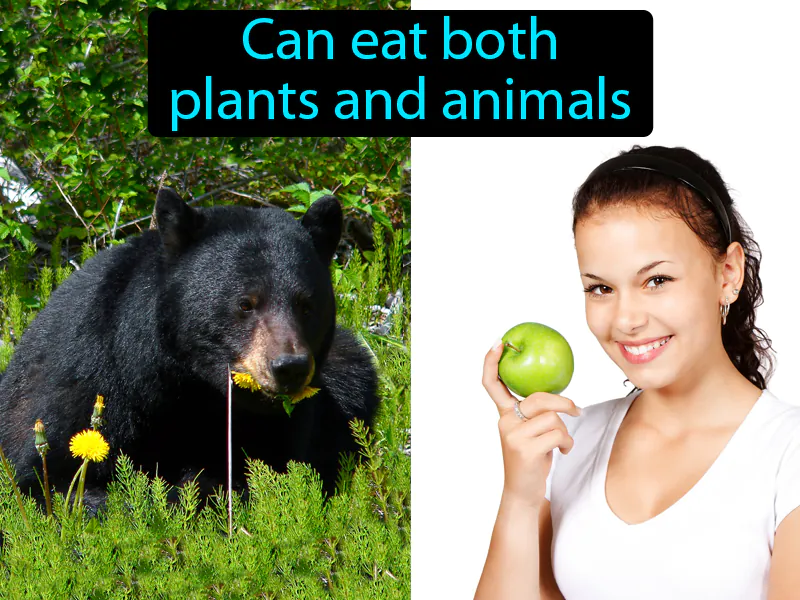 Omnivore Definition Omnivore Definition