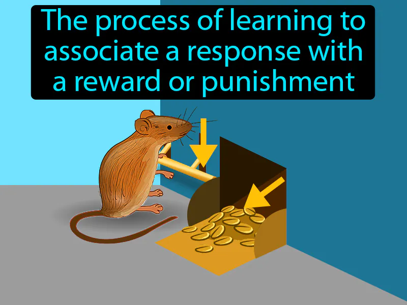 Operant Conditioning Definition Operant Conditioning Definition