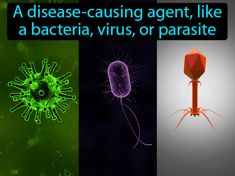 Pathogen Definition Pathogen Definition