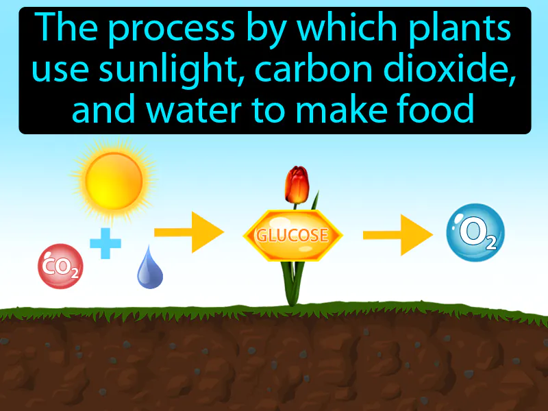 Photosynthesis Definition Photosynthesis Definition