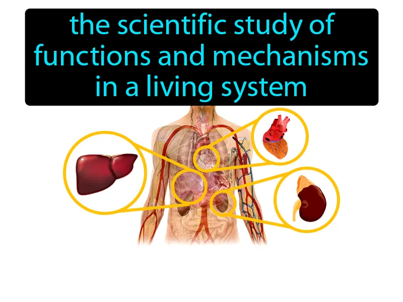 Physiology Definition Physiology Definition