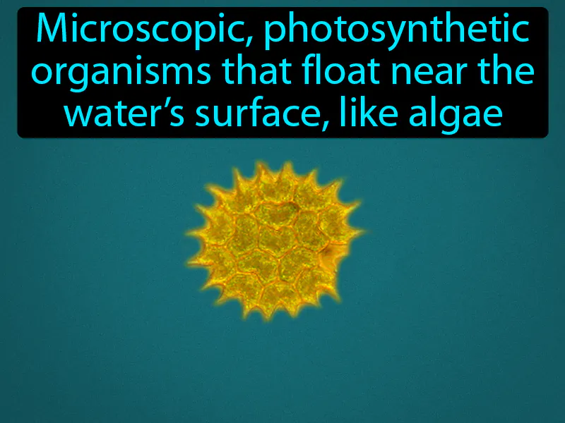 Phytoplankton Definition Phytoplankton Definition