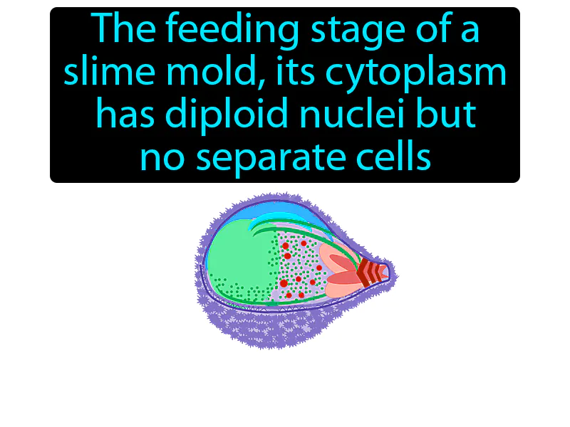 Plasmodium Definition Plasmodium Definition