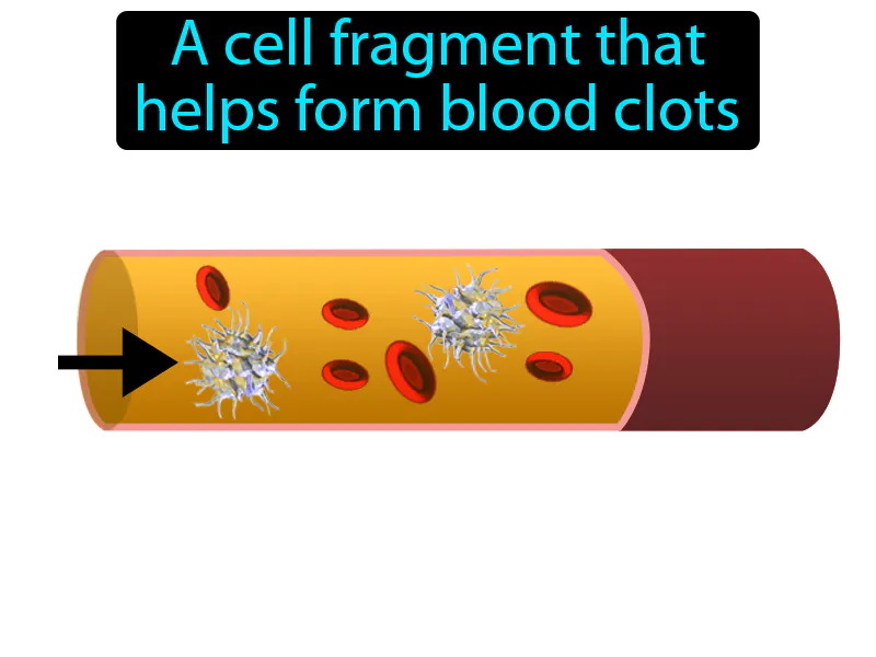 Platelet Definition Platelet Definition