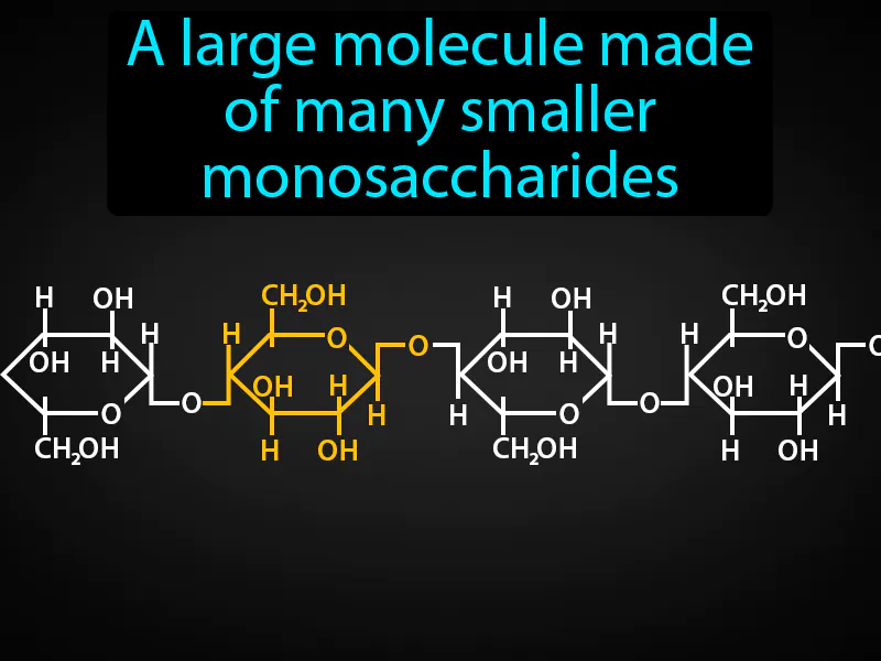 Polysaccharide Definition Polysaccharide Definition