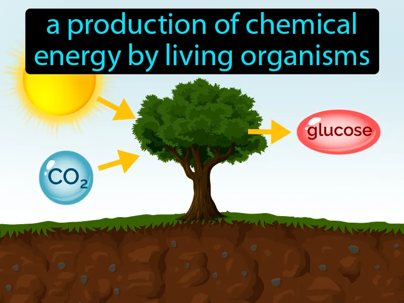 Primary Productivity Definition Primary Productivity Definition