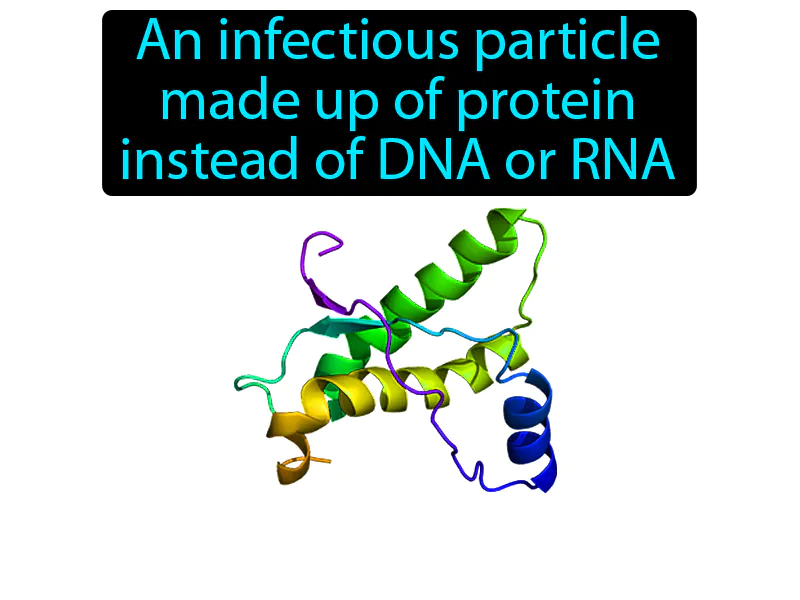 Prion Definition Prion Definition