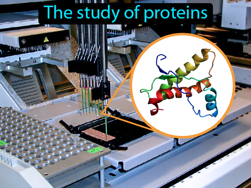 Proteomics Definition Proteomics Definition